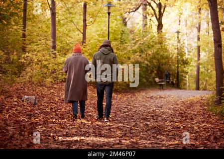 Paare, die im herbstlichen Wald Stockfoto