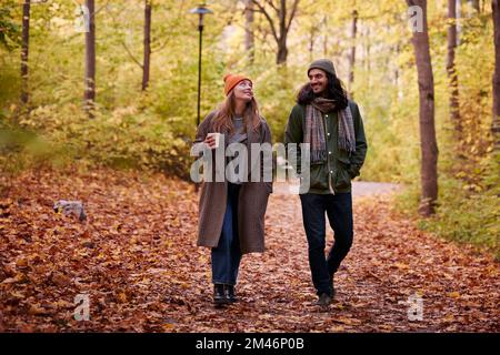 Paare, die im herbstlichen Wald Stockfoto