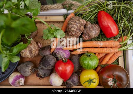 Blick auf frisch gepflücktes Gemüse Stockfoto