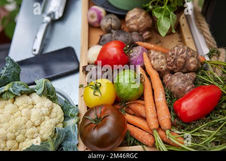 Blick auf frisch gepflücktes Gemüse Stockfoto