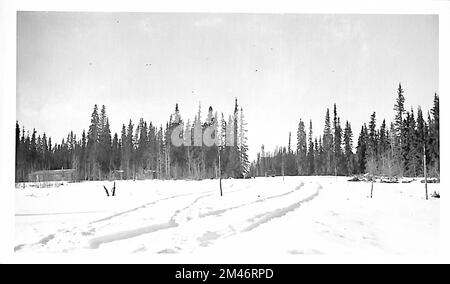 Alaska Highway. Originalunterschrift: Bild Nr. 19/Br. Nr. 3007. Staat: Alaska. Stockfoto