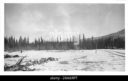 Alaska Highway. Originalunterschrift: Bild Nr. 15/Br. Nr. 3007. Staat: Alaska. Stockfoto