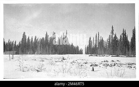 Alaska Highway. Originalunterschrift: Bild Nr. 16/Br. Nr. 3007. Staat: Alaska. Stockfoto