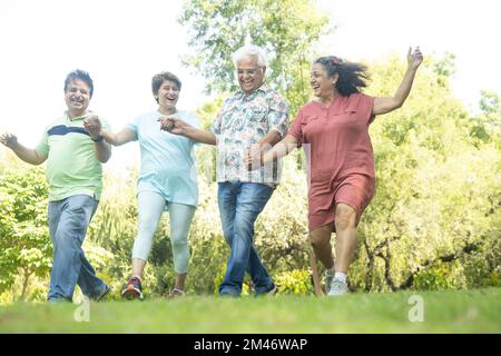 Eine Gruppe glücklicher indischer Seniorenmänner und -Frauen, die lachen und zusammen im Sommerpark spazieren gehen. Ruhestandsleben, Rentner genießen Garten. Ich habe Fu Stockfoto