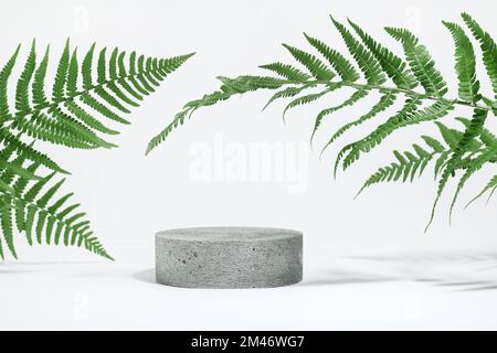 Zylindrisches Öko-Podium aus Stein auf weißem Hintergrund mit harten Schatten und tropischen Farnblättern. Minimale leere kosmetische Produkt Präsentation scen Stockfoto