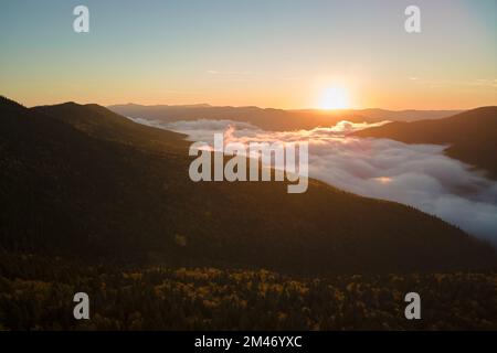Luftaufnahme der erstaunlichen Landschaft mit nebligen dunklen Bergwald Pinien bei Herbstsonnenaufgang. Wunderschöne wilde Wälder mit leuchtenden Lichtstrahlen Stockfoto