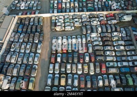 Luftaufnahme des großen Parkplatzes von Schrottplatz mit Reihen von weggeworfenen gebrochenen Autos. Recycling von Altfahrzeugen Stockfoto