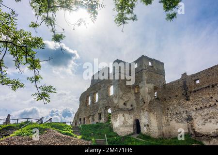 Povazska Bystrica (Waagbistritz): Burg Povazsky hrad (Waagburg) in , , Slowakei Stockfoto