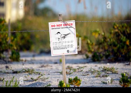 Schild mit Warnung über Nistgebiet von Seevögeln am Strand mit kleinen Sanddünen und grasbewachsenen Vegetation an warmen Sommertagen Stockfoto