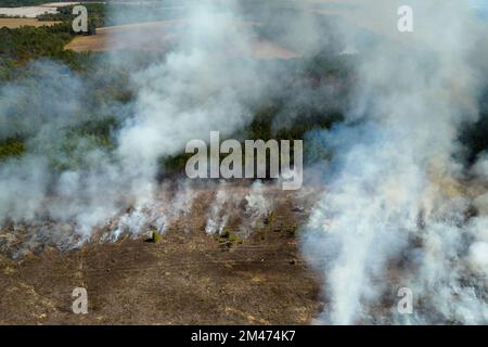 Blick von oben auf den dichten Rauch von Wald und Feld auf Feuer, der die verunreinigende Luft aufsteigt. Konzept der Naturkatastrophe Stockfoto