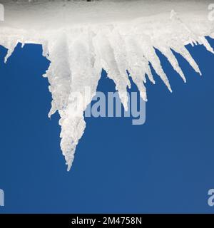 Hintergrund heller durchsichtiger Eiszapfen im Sonnenlicht. Große Eiszapfen hängen vom Dach auf blauem Hintergrund. Stockfoto