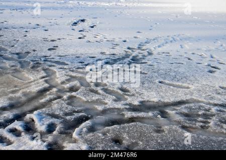 Fußspuren auf einem gefrorenen See mit Schneeoberfläche und dünnem Eis Stockfoto