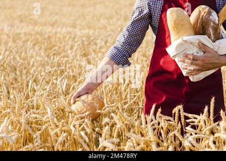 Rundes Brot in den Händen der Bauern auf Weizenfeldern. Stockfoto