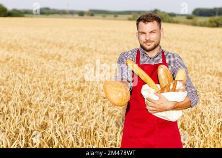 Ein Mann mit Schürze, der Brot in der Hand hält, während er auf einem Weizenfeld steht. Stockfoto