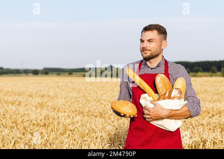 Ein Mann mit Schürze, der Brot in der Hand hält, während er auf einem Weizenfeld steht. Stockfoto