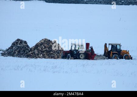 Tschechien wandte sich dem Holz zu, um ihre Häuser in der Tschechischen Republik zu heizen, Bildmaterial zur Vorbereitung und zum Transport von Holz zum Heizen in Dobra Voda, Tschechische Republik, Dez. Stockfoto