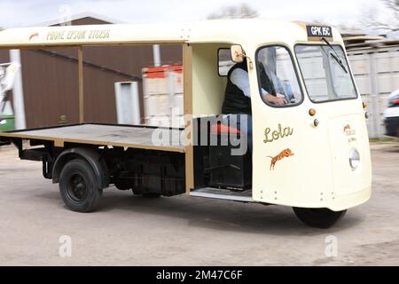 Geoff Hall und seine 15-köpfige Sammlung elektrischer Milchflotten von 1950 bis 1980, West Sussex, England, Großbritannien Stockfoto