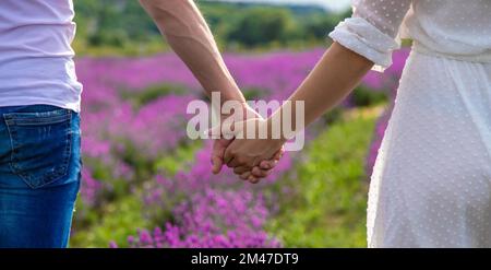 Ein Mann hält ein Mädchen an der Hand in einem Lavendelfeld. Selektiver Fokus. Die Natur Stockfoto