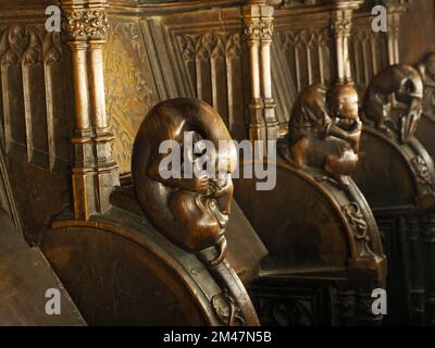 Geschnitzter Mahagoni-Chor hölzerne Skulptur in der Kathedrale von Toledo, Spanien Stockfoto