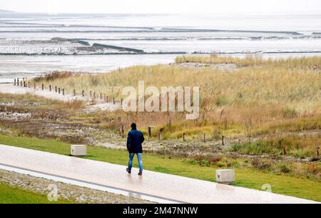 Norddeich, Deutschland. 19.. Dezember 2022. Ein Mann geht bei Regenwetter am Strand entlang vor der Nordsee. Kredit: Hauke-Christian Dittrich/dpa/Alamy Live News Stockfoto