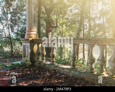 Steingeländer mit Säulen in einem alten verlassenen Herrenhaus, überwuchert mit grünen Pflanzen und Wald im Sonnenlicht. Stockfoto