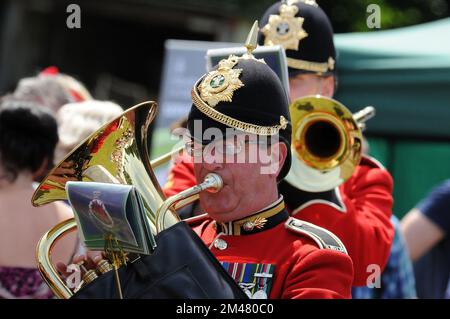 Bute Park, Tag Der Streitkräfte, 2015. Stockfoto