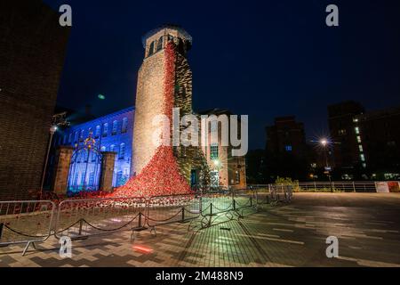 Installation von Weinfenstern im Seidenmühlen-Museum, Derby, Großbritannien Stockfoto