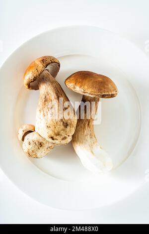 Porcini-Pilze auf einem weißen Teller. Schießerei im Studio Stockfoto