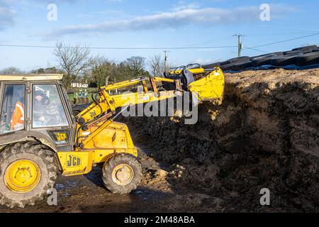 Bauravilla, West Cork, Irland. 19.. Dezember 2022. Milchbauer Michael Crowley füttert seine Herde von 170 Kühen auf dem Hof seiner Frau Marguerite in Bauravilla, West Cork, mit Silage. Die Kühe werden im Februar wieder auf die Weide gehen, nachdem sie gekalbt haben. Kredit: AG News/Alamy Live News Stockfoto