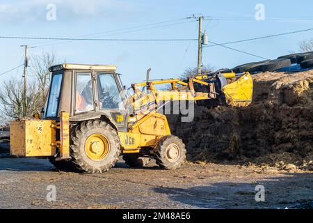 Bauravilla, West Cork, Irland. 19.. Dezember 2022. Milchbauer Michael Crowley füttert seine Herde von 170 Kühen auf dem Hof seiner Frau Marguerite in Bauravilla, West Cork, mit Silage. Die Kühe werden im Februar wieder auf die Weide gehen, nachdem sie gekalbt haben. Kredit: AG News/Alamy Live News Stockfoto