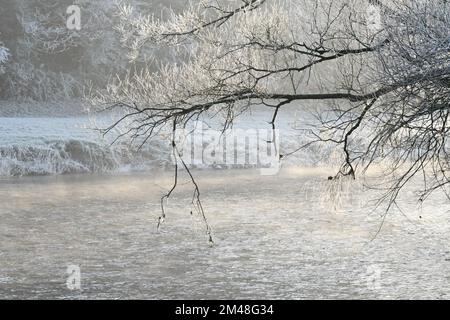 Nebel über dem Fluss Nore, Thomastown, Co Kilkenny, Irland Stockfoto