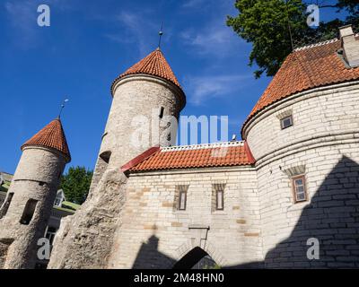 Stadtmauern am Viru-Tor, Tallinn, Estland, baltische Staaten, Europa Stockfoto