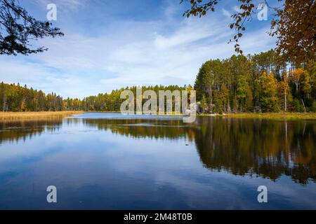 Ruhiger See im Norden Minnesotas mit Bäumen und Felsen an einem hellen Tag im Herbst Stockfoto