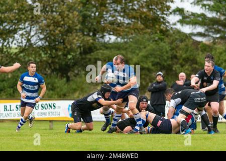 Howe of Fife Spieler mit Ballgrimassen, während er drei Gegner im Rugby Club Berwick gegen Howe of Fife Rugby Club Männer auf dem Gras lässt Stockfoto