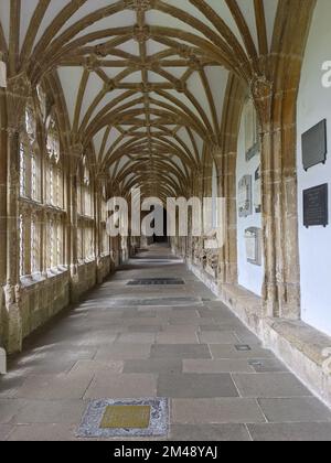 Ein vertikales Bild des Klosters mit dem Gewölbe von lierne in der Wells Cathedral, einer anglikanischen Kathedrale in Wells, England Stockfoto