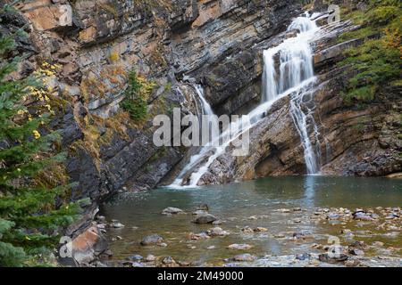 Cameron Falls, ein Wasserfall in den Rocky Mountains, der über uralte Dolomit- und Kalksteinfelsen fließt, Waterton Lakes National Park, Alberta, Kanada Stockfoto