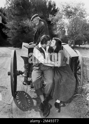 Albert Sharpe, Sean Connery, Janet Munro, am Filmset „Darby O'Gill and the Little People“, Walt Disney Productions, Buena Vista Distribution, 1959 Stockfoto