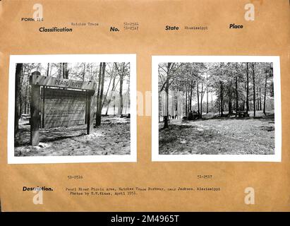 Pearl River Picknick-Bereich, Natchez Trace Parkway, In Der Nähe Von Jackson, Mississippi. Originalüberschrift: Pearl River Picknick Area, Natchez Trace Parkway, Near Jackson, Mississippi. Foto von T. W. Kines , April 1951. Bundesstaat: Mississippi. Stockfoto