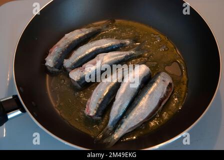 Sardinen in einer Pfanne auf dem Grill Stockfoto