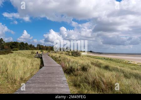 Hölzerne Fußgängerbrücke in den Dünen zwischen Nieblum und GrevelingInsel, Foehr, Nordfriesische Insel, Nordfriesien, Schleswig-Holstein, Deutschland Stockfoto