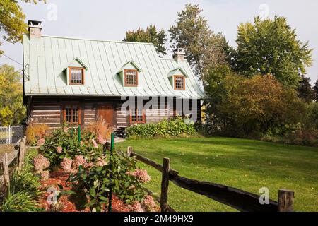 Altes zweistöckiges Blockhaus im Kanadiana-Stil der 1800er Jahre mit rosa Hortensie Blumen im Vorhof im Herbst. Stockfoto