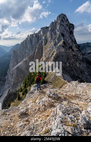 Kletterer auf dem Kamm zwischen Rote Flueh und Schartschrofen, Blick auf den felsigen Gipfel von Schartschrofen, Tannheimer Berge, Allgaeu, Bayern, Deutschland Stockfoto