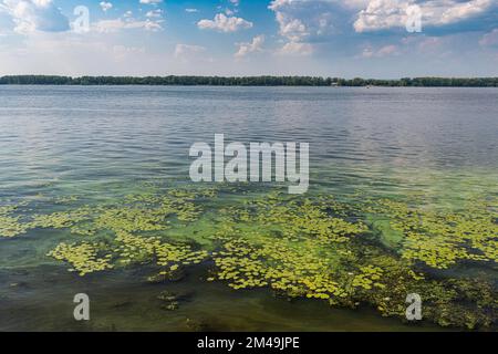 Flussufer der Wolga, Samara, Russland Stockfoto