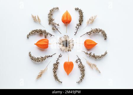 Fotografie mit Mandalaflümchen, flacher Herbst Mandalabuster mit trockenen Pflanzen auf weißem Papierhintergrund Stockfoto