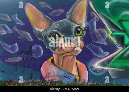 Graffiti, Chihuahua-Hund mit großen Ohren, Landschaftspark Duisburg-Nord, Duisburg-Meiderich, Nordrhein-Westfalen, Deutschland Stockfoto