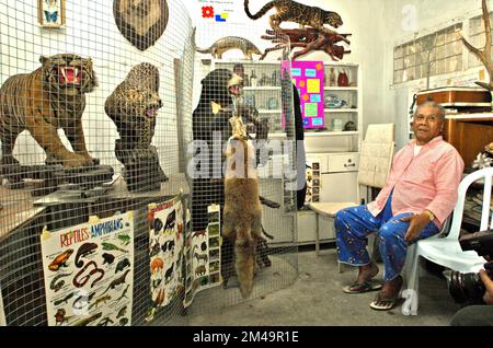 Ein Mann wird mit zoologischen Exemplaren fotografiert, die in einem Raum ausgestellt werden, der als Mini-Museum für Kinder in seinem Haus in Gegerkalong, Bandung, West Java, Indonesien, diente. Die meisten Exemplare wurden während seines Militärdienstes gesammelt. Stockfoto