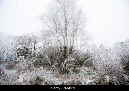 Breda, Niederlande. 18.. Dezember 2022. An einem sehr kalten Tag sind Bäume und Büsche mit glitzerndem Schnee bedeckt. Aufgrund der sehr niedrigen Temperaturen (ca. -11 Grad Celsius in der Nacht) an diesem Wochenende dämmen einige Teile des Südens des Landes mit spektakulären weißen Landschaften. Kredit: SOPA Images Limited/Alamy Live News Stockfoto