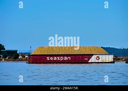 Ein mit Holzspäne beladener Kahn, der in einer Zellstoff- und Papierfabrik in Crofton auf Vancouver Island, British Columbia, Kanada, entladen werden soll Stockfoto