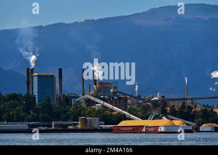 Mit Holzschnitzeln beladene Schiffe, die in der Zellstoff- und Papierfabrik in Crofton auf Vancouver Island, British Columbia, auf die Entladung warten Stockfoto