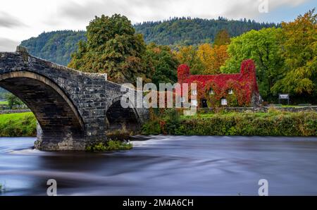 PA REVIEW OF THE YEAR 2022 File photo dated 29/09/22 - The Virginia Creeper Laub on the TU Hwnt i'r Bont (Beyond the Bridge) Llanwrst, Conwy North Wales, hat Anfang Herbst die Farbe von Grün zu Rot geändert. Das Gebäude wurde 1480 als Wohnhaus erbaut, ist aber seit über 50 Jahren ein Teestube. Ausgabedatum: Dienstag, 20. Dezember 2022. Stockfoto